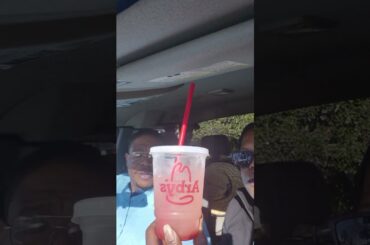 Arby's Fast Food Mukbang: Loaded Italian & Greek Gyro Review