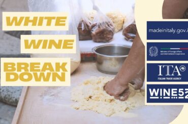 Food and Wine of Italy White Wine Breakdown