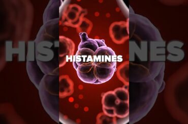 Why Wine in Europe Doesn't Give You a Headache