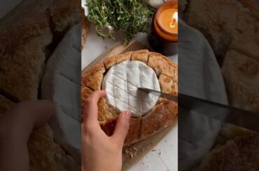 Baked Camembert in Bread