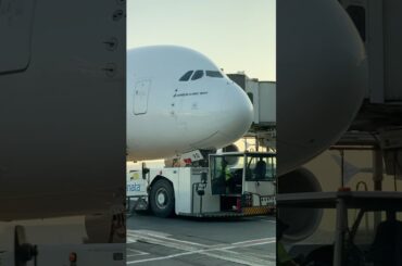 A380 Flying building WOW #emirates #flight #travel #sky #youtube #youtuber #short #shorts #viral