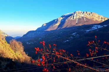 Can We Reach Our House in the Mountains?