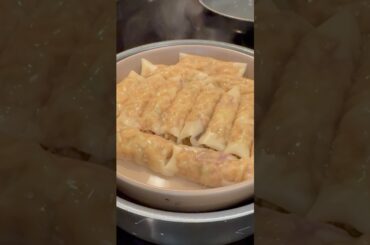 Viral Dumpling lasagna, manicotti style