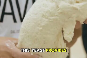 Traditional Panettone Is Made In Italy - Food Insider