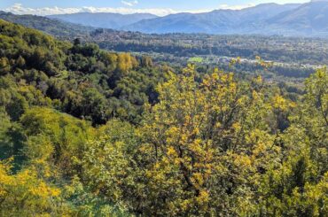 TUSCANY / BARGA / LUCCA / FLORENCE / ITALY / WINE COUNTRY: a perfect vacation! #italy #tuscany