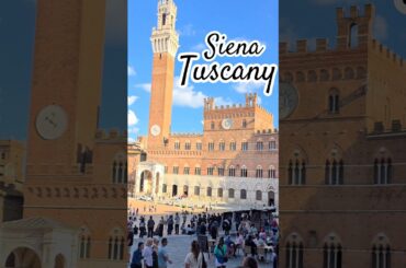Glide through Tuscany #siena #wine #winelovers #tuscany #italy #travel #romanempire