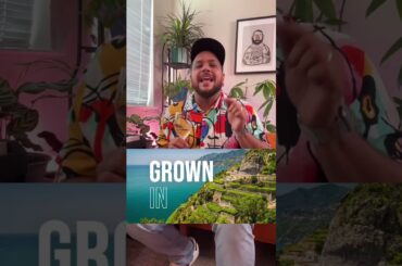 F is for Fiano / Tasters ABC of Wine