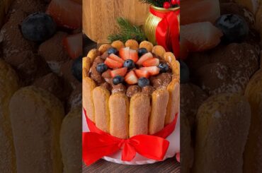 No-Bake Tiramisu Cake That Melts in Your Mouth. #shorts