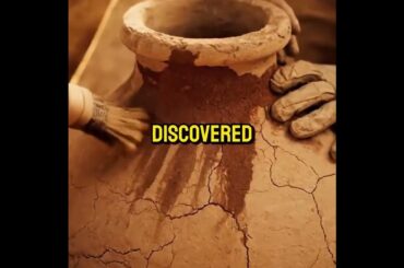 Persia (Iran): The Real Origin of Wine, 7000 Years Ago !