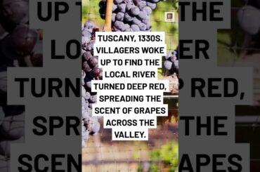 The Medieval River That Turned to Wine Overnight