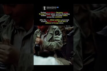 What Germany Stole From Europe’s Wine Cellars in WW2 #shorts