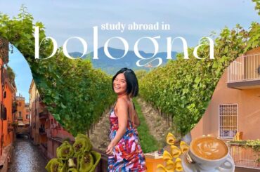 study abroad in bologna, italy | food hunt, routine, explore bologna, travel recap, christmas market