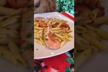 Excellent NY  Italian lunch near Pantheon Rome 01jan26 #ytshorts #food #italian #australia #uk #jpn