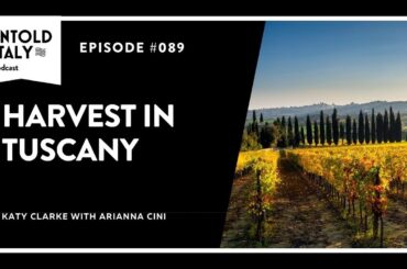 Harvest in Tuscany | Untold Italy travel podcast Ep 89