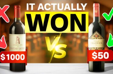 10 CHEAP Wines That HUMILIATED $1000+ Bottles
