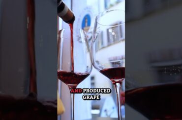 Top Italian Wines Paired with Pecorino Cheese