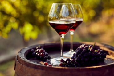 Barolo Explained: Italy’s Most Revered Wine