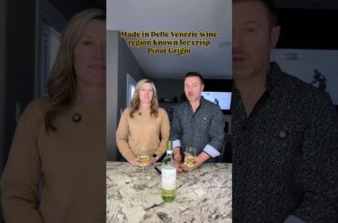 2022 Zenato Pinot Grigio 3.8/5 Star Italian Wine Tasting #italy #winewithryan #wine #pinotgrigio