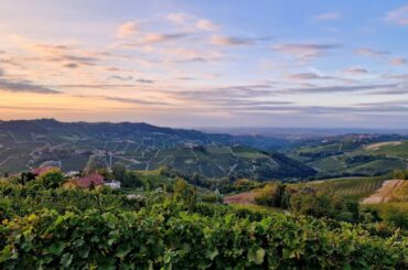 Barolo - Piedmont