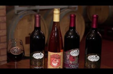 Get a taste of Italy's finest wines at the Potomac Point Winery in Virginia | NBC4 Washington