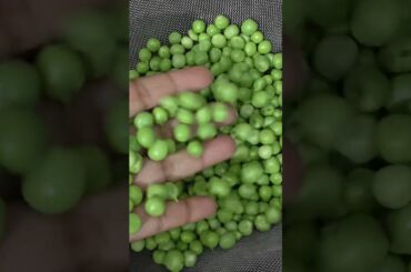 MIX VEG PANEER #food #cucinaitaliana #foodlovers #indianfood #healthylifestyle#cake #cookingwithlove