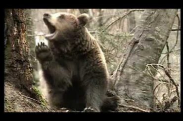 Discover the Magic of Trentino: Northern Italy Vacations & Sightseeing Highlights