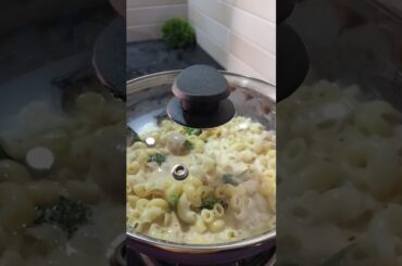 White sauce pasta recipe #whitesaucepasta #macroni #pasta #ytshorts #like #recipe #views #food