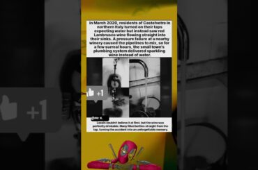 northern Italy #wine