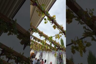 Wine tasting in Italy , where heritage, terroir, and craftsmanship come together in every glass