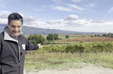 Nick's Wine Journal - Campania, Italy