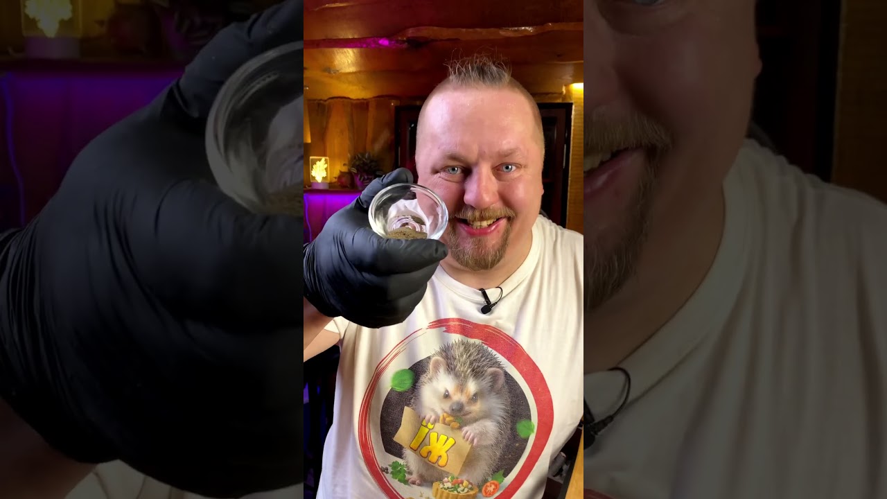 Mac and Cheese Mac and Cheese