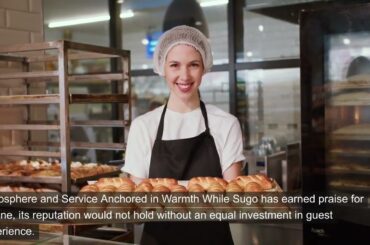 Authentic Italian Dining in Tuscaloosa | Sugo's Craftsmanship & Culinary Excellence