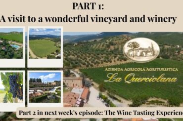 Part one of an amazing vineyard tour and tasting