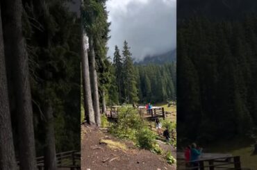 Lake Carezza#lago di carezza#italy#travel#food#trendingshorts#nature