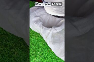 Mascarpone cheese easy way at home #shorts #viral #food #shortsviral #recipe #cooking #food #italy