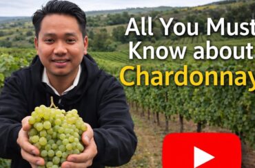 ||All you must need to know about Chardonnay|| #wine #tasting #youtubeshorts @WSETGLOBAL @Vegaswine