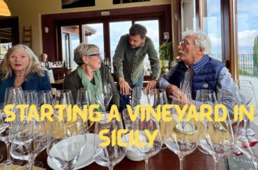 We Finally Got Our Sicilian Vineyard After 59 Years - E100