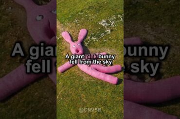 The Giant Pink Bunny of Italy: A 20-Year Decay #GiantPinkBunny #CollettoFava #amazingcircus  #jax
