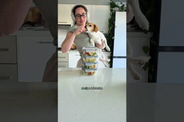 23/31 days of meal prep - slow cooker pesto chicken pasta. Recipe on website (see bio)