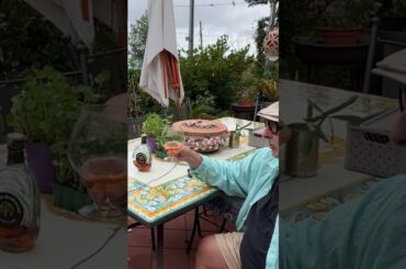 Harvesting Grapes for Homemade Wine and Spumante #Vineyard