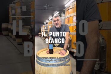🇮🇹🇺🇸 Punto Bianco Montalcino | Wine | Vino | Roberto Cipresso