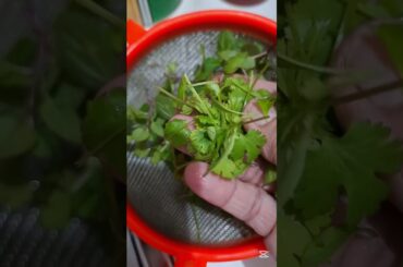 Italian rice recipe #food #shortvideo #rice #italianrice #italy #easyrecipe#cooking#homemade#risotto