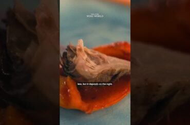 From the film – THREE DAYS IN PIEDMONT – Drowning in truffles