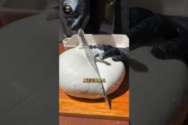 Kenapa Mozzarella Italia Terasa Berbeda? #shorts