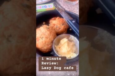 Restaurant review: Lazy Dog cafe #foodreview #foodreviewshorts