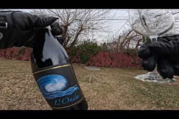 Wine Review: L’Onda Cesanese del Piglio Superiore 2020 🍷