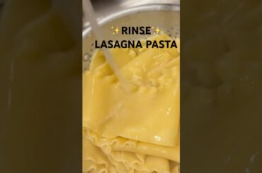 LASAGNA Part16.  ✨RINSE✨