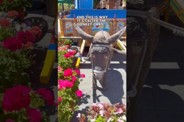 THIS IS WHERE YOU SHOULD BE GETTING YOUR DRINKS IN EPCOT'S ITALY PAVILION