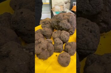 Want to understand Italian food? Start at the market #LocalAromas #ItalianFoodCulture #RomeFoodTour