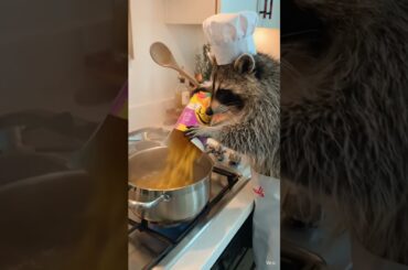 Italian cooking by Chef Coon 😅👍